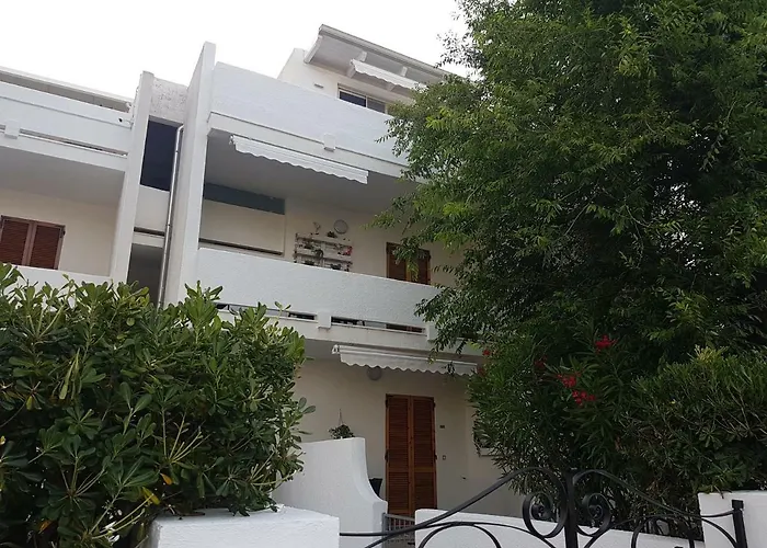 Orsa Minore ガリポリ