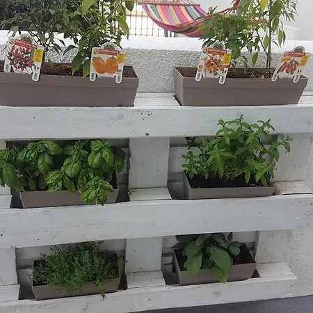 Orsa Minore Apartmanhotel 3*