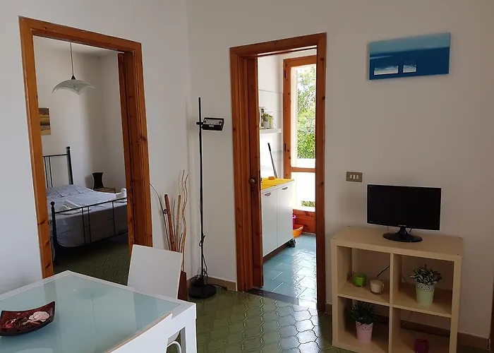 Orsa Minore Gallipoli